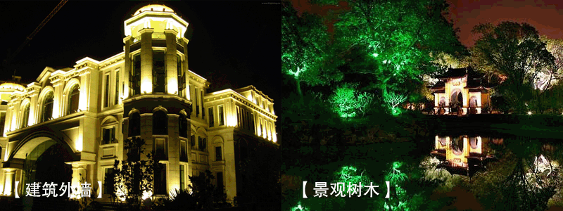 偏光金鹵燈泛光燈建筑外墻照明效果-綠光樹木照明效果